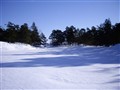 Risö 1.JPG